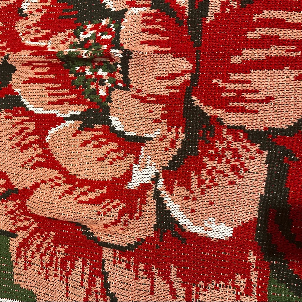 FARM Rio Green and Red Cozy Blanket - Picture 9 of 9
